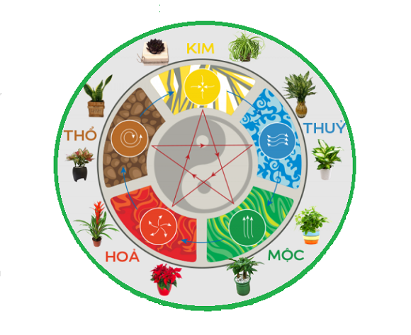 cay phong thuy theo ngu hanh