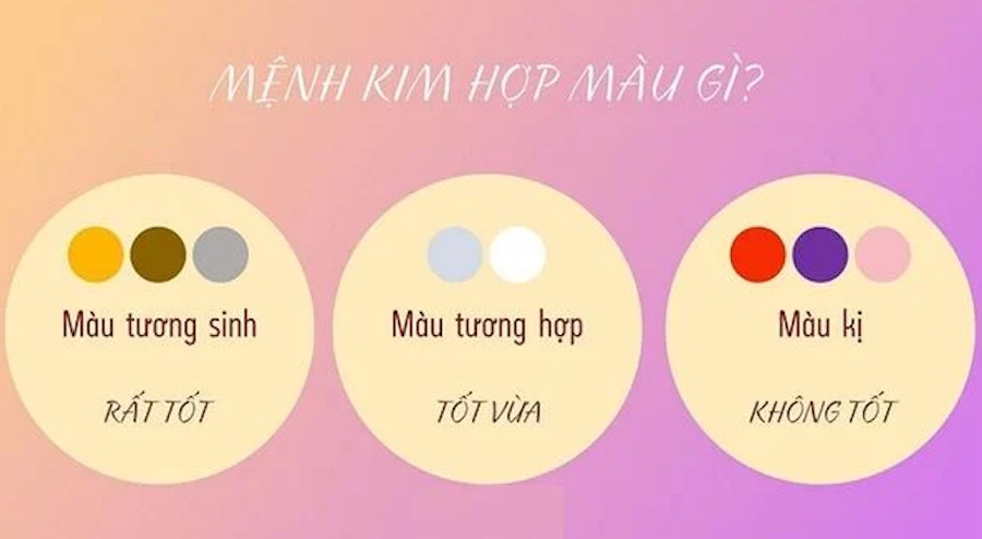 mang kim hop mau gi 01