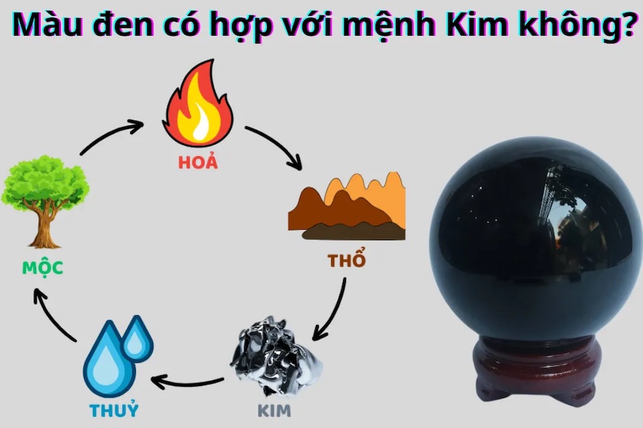 Mệnh Kim Hợp Màu Đen Không?