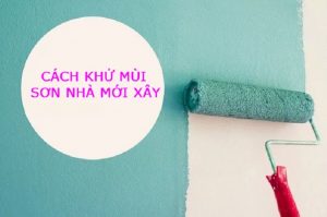 Cách khử mùi sơn nhà mới