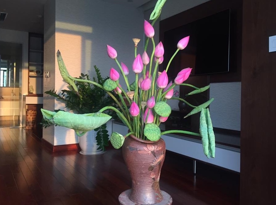 trong nha nen cam hoa gi 01