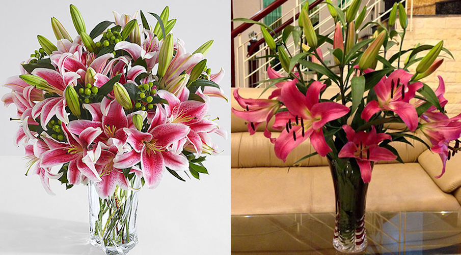 trong nha nen cam hoa gi 02