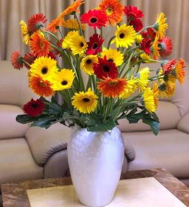 Trong nhà nên cắm hoa gì?