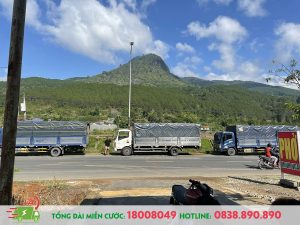 Vận Chuyển Chậu Cây Cảnh